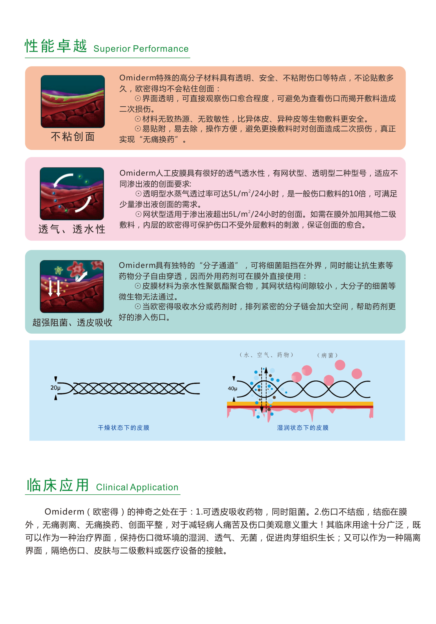 皮膜2_編輯.jpg